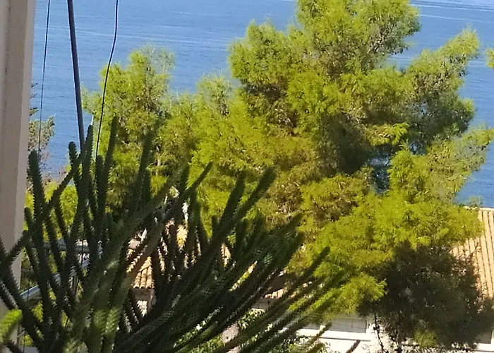 Chicago Hotel Saranda